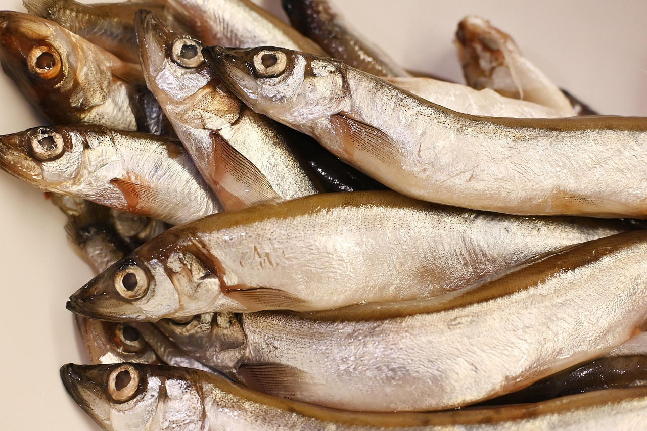 Fresh whole fish laid out for cooking
